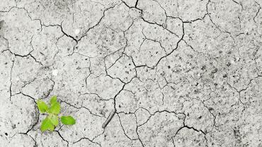 cambiamenti climatici